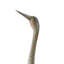 Animals Water Resistant Iron Garden Statue
