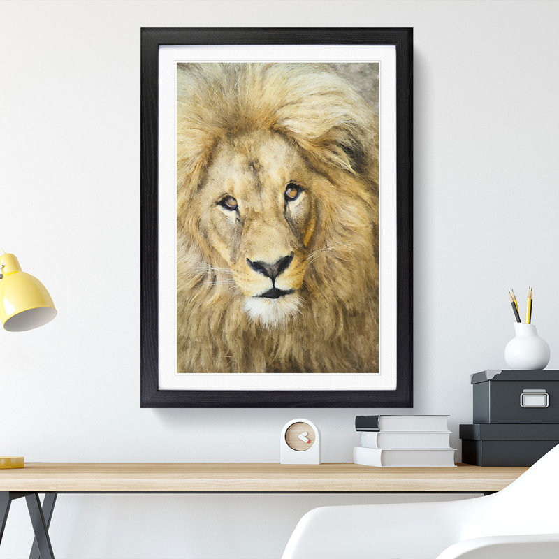 The Face of a Lion - Picture Frame Painting Print, 45cm H x 33cm W x 2cm D, Black Framed