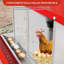 Chicken Coop-1936630895