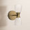 2 Light Glass Dimmable Armed Sconce