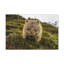 No Frame Print on Canvas-73194560