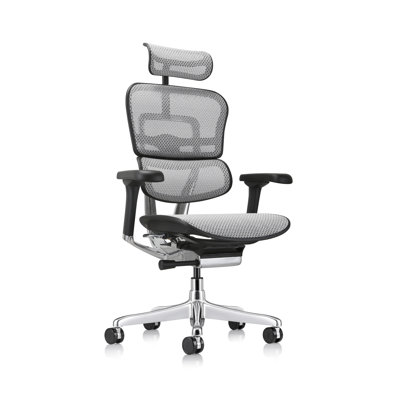 Chaise de travail ergonomique en filet Ergohuman
