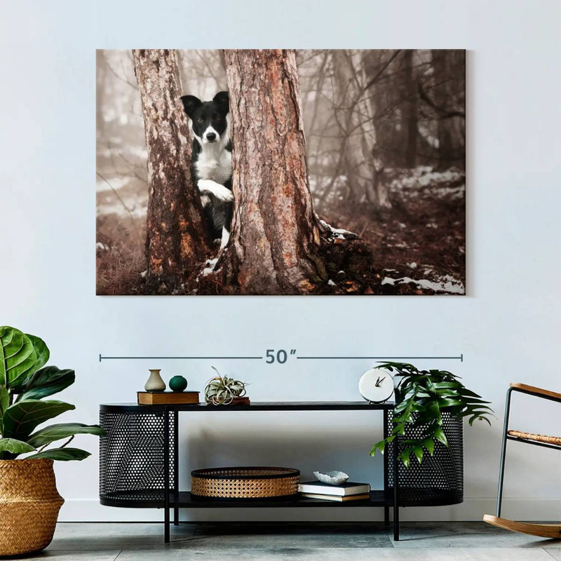 Brampt Playful Border Collie, 34'' H x 51'' W