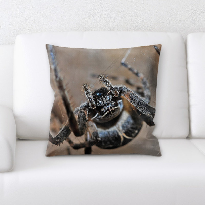 Coussin de spider