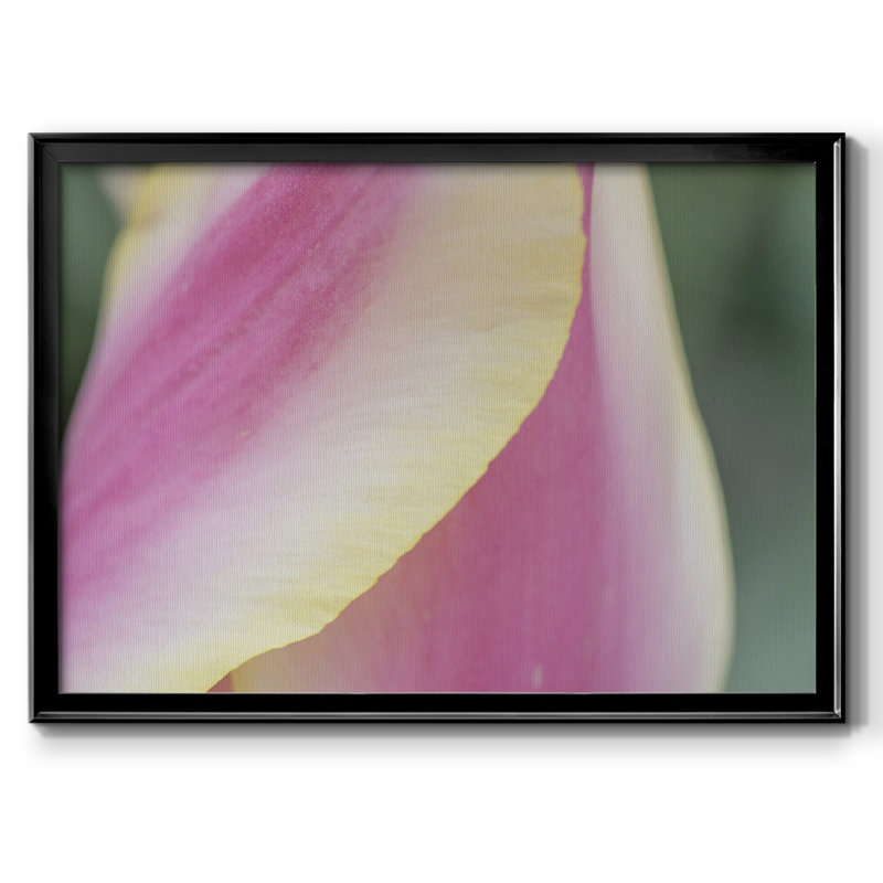 " Delicate ", 18" H x 26" W x 1.5" D, Black Closed Corner Framed Canvas