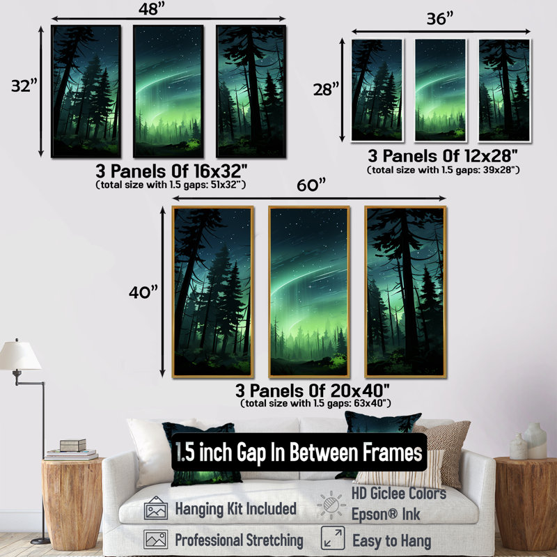 «Canadian Boreal Ballet 3 - Northern Lights», art mural, Cadre flottant noir, H 28 po x l 36 po
