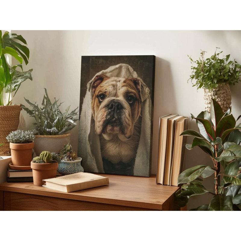 Drôle de bouledogue sur toile, H 30 po x l 20 po
