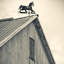 «Workhorse Weather Vane» par Walter Bibikow - reproduction d'art sur toile tendue sur châssis-29479584-73577074-73577079