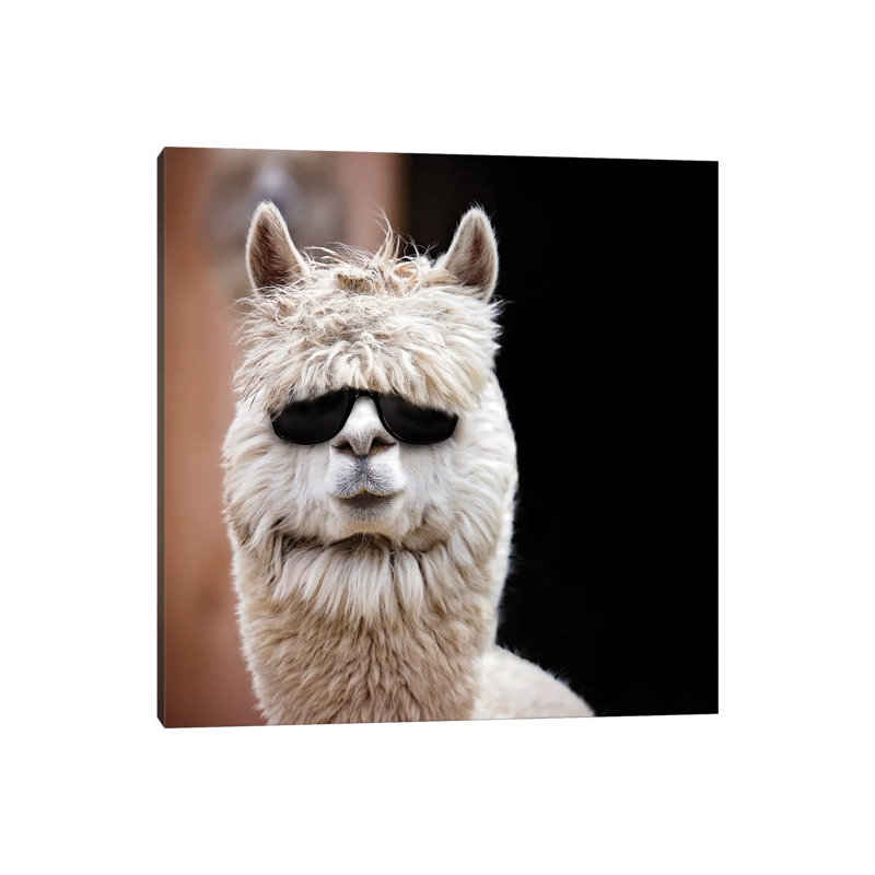Alpaca In Shades by Karen Burke - Wrapped Canvas Print, 45.72 cm H x 45.72 cm W x 1.91 cm D