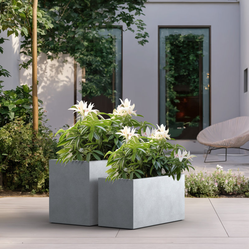Luecille Handmade Planter Box, Cement Shade