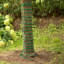 Greenwire Plant Heating Cable