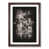 Walnut Framed