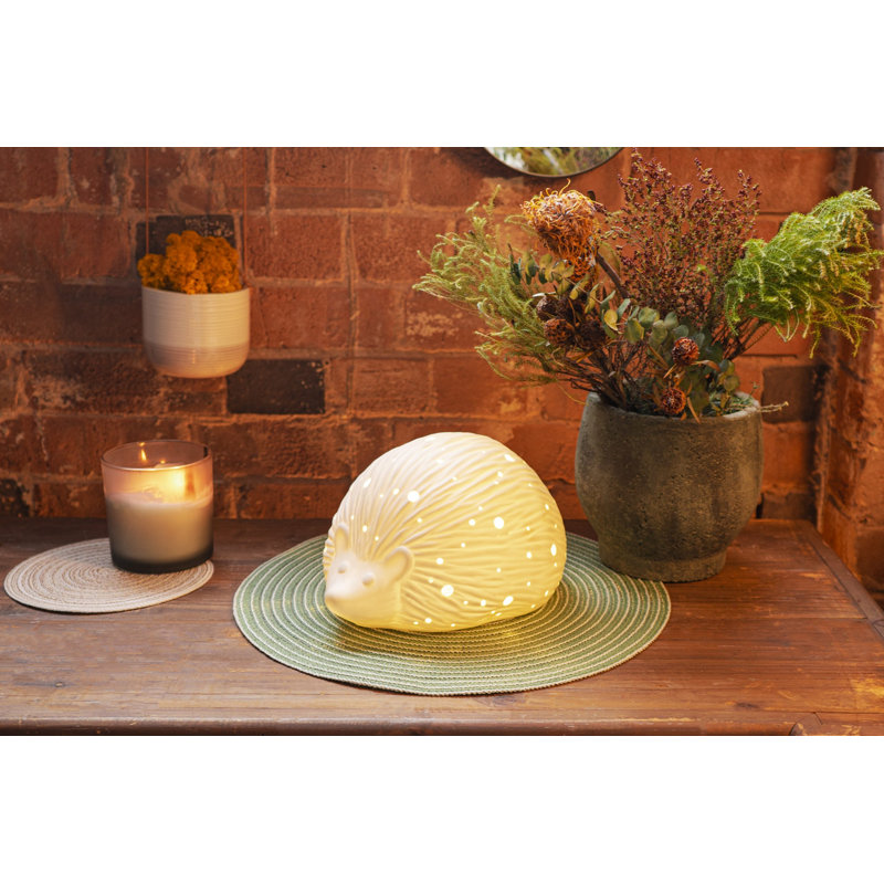 Novelty Lamp