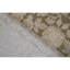 Ziegler Wool Oriental Area Rug