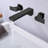Wall Mounted Optional 2-handle Bathroom Faucet