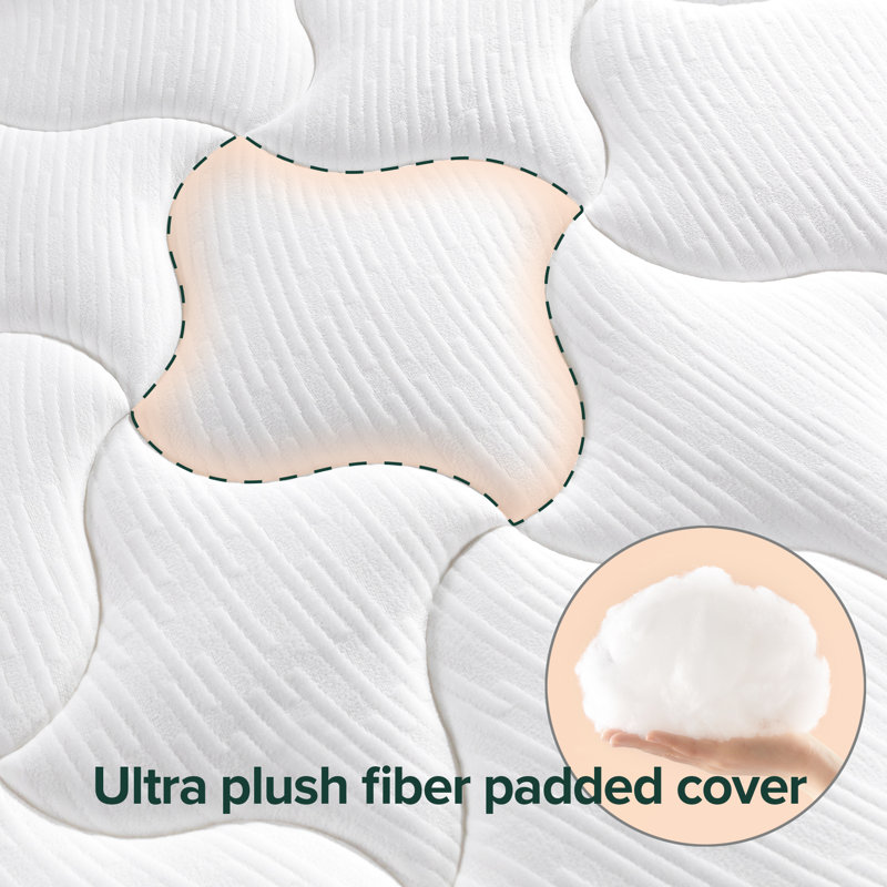 Cloud-Like 12" Queen Plush Memory Foam Mattress
