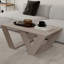 Aiysha Cross Legs Coffee Table-1168930935