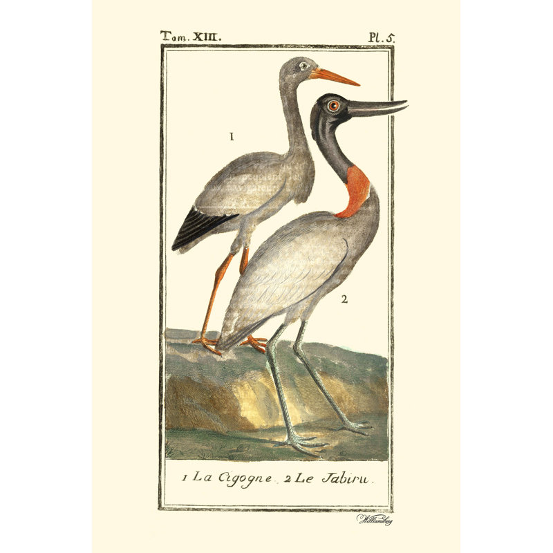 Buffon Cranes & Herons I, H 12 po x l 8 po