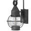 Jolie 1-Light Outdoor Wall Lantern-1644869710-1644869709