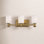 Everlee 3 Light Dimmable Vanity Light