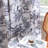100% Blackout Curtains 2 Panels Set Hummingbird Floral Printed Drapes for Bedroom with -1994211024-1994211028