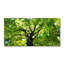 Lonald 50cm W x 100cm L Glass Peel and Stick Panel