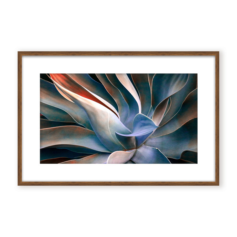 Nature Inspired The Colors in Leaves by  - Picture Frame Graphic Art on Paper, 32" H x 48" W x 1.125" D, Black