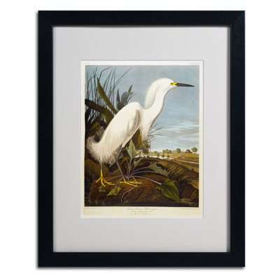John Audubon - Cadre photo, reproduction d'art sur toile