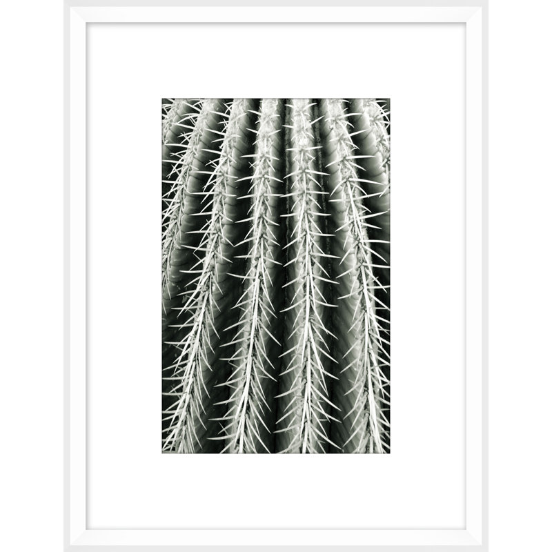 Silver Spike Small 6 Framed Photographic Print