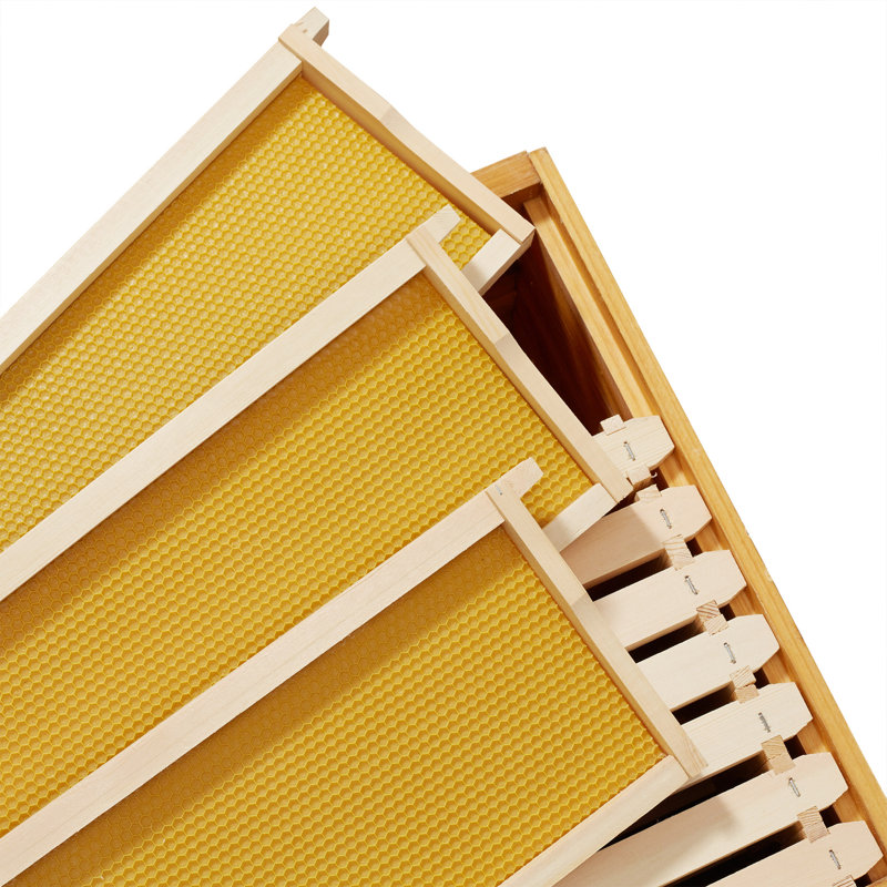 Honey Keeper 10-Pack Natural Waxed Beehive Frames with Wooden Construction
