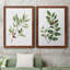«Winter Botanical I», ensemble de 2 reproductions d'art-521697243-521697219-521697265