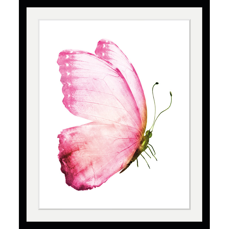 Butterfly - Single Picture Frame Print