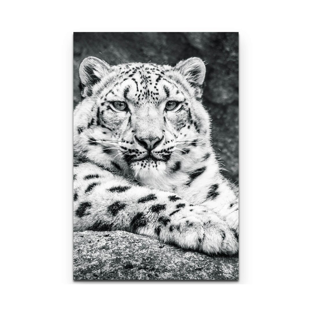 Leinwandbild Fotografie weißer Leopard