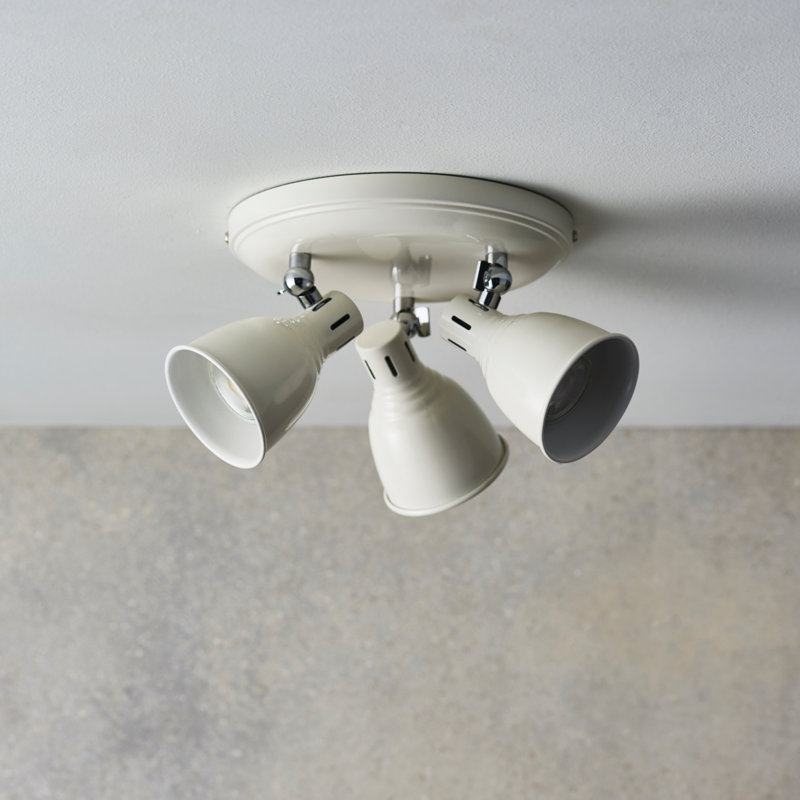 Romney Spotlight, White