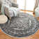 Amedee Performance Oriental Rug