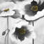 Fleurs noires et blanches | Reproduction encadrée matte pour la décoration intérieure-827319581-827319576