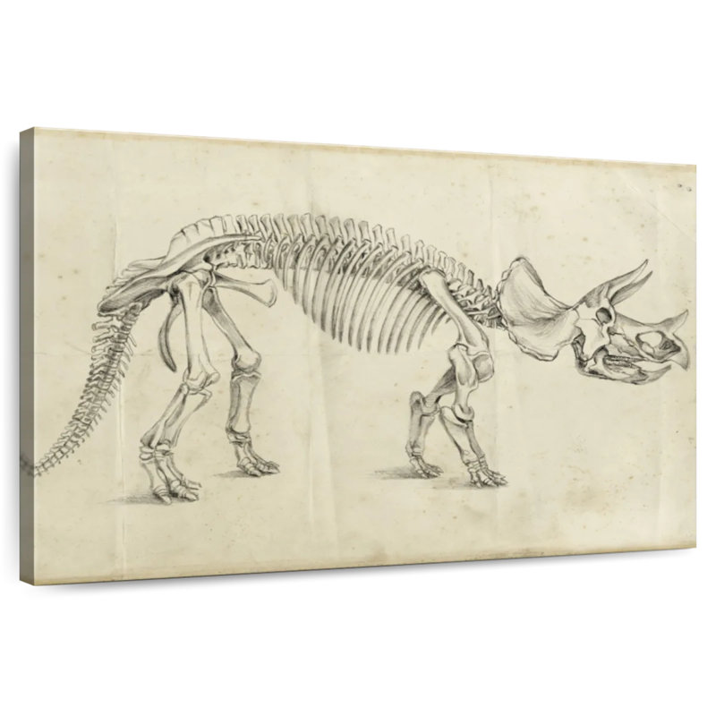 Crowle Dinosaur Study II, 34" H x 51" W