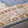 Gilstrap Oriental Indoor Rug