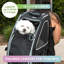 Sac de transport pour animaux 5 en 1 Petique-470609848