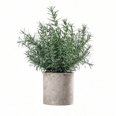 Artificial Rosemary Plant in Cement Pot, Small Fake Potted Rosemary with Realistic Needle Leaves, Mini Faux Greenery for Home Office Tabletop Shelf Decor