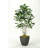 60'' Faux Fiddle Leaf Fig Tree in Metal Planter