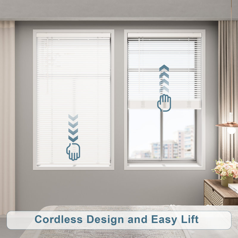 Cordless Blinds For Indoor Windows, 25"W x 64"L