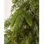 Faux Fir 100cm Wreath