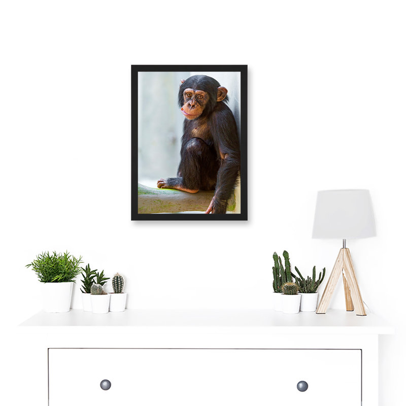Ape Monkey Cute Baby Chimpanzee - Single Picture Frame Print