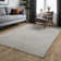 Aikin Solid Colour Shag Area Rug