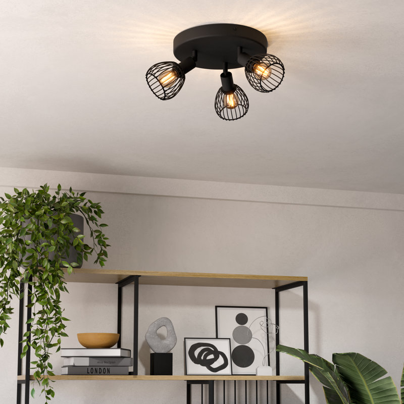 Antasia Spotlight