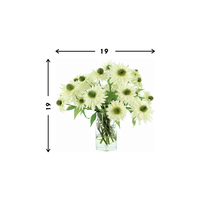 White Rudbeckia In Glass Vase
