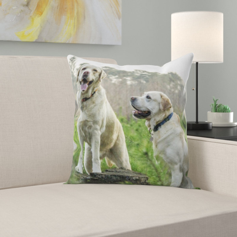Coussin en peluche de labrador