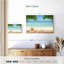 Étoile de mer tropicale Alvord-107708691