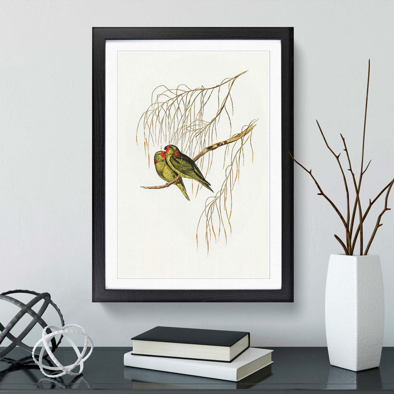 Little Lorikeets by Elizabeth Gould - Picture Frame Painting Print, 36cm H x 27cm W x 2cm D, Black Framed